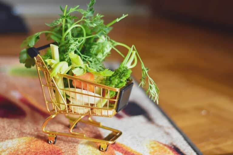 simple vegan grocery tips