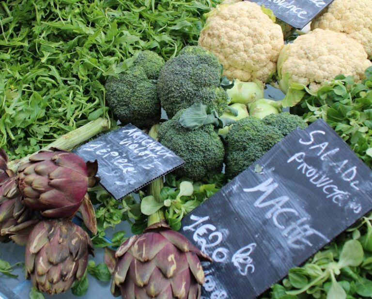 plant based diet affordable